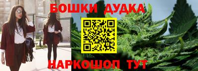 гидра Жуковский