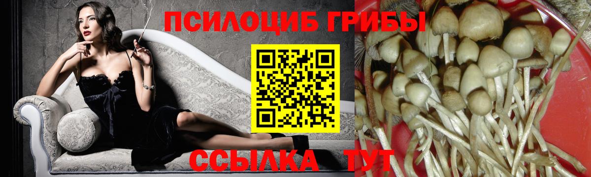 Галлюциногенные грибы мицелий  Галлюциногенные грибы Psilocybine cubensis  Вход с VPN  Кумертау 